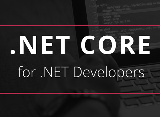 .Net Core developer